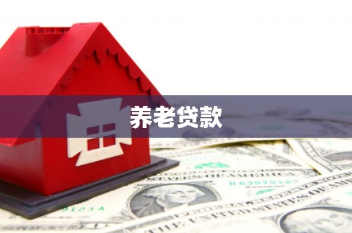 崇左养老贷款