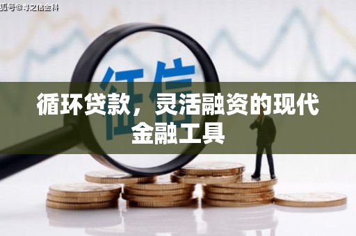 崇左循环贷款，灵活融资的现代金融工具
