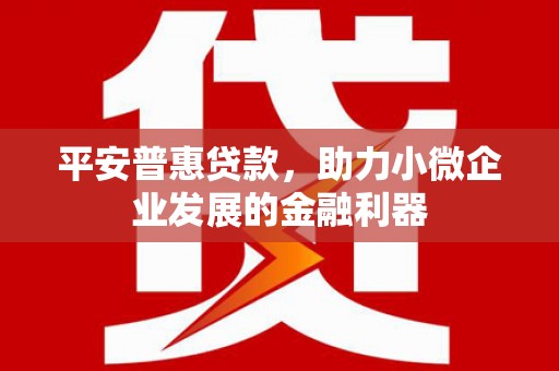 崇左平安普惠贷款，助力小微企业发展的金融利器