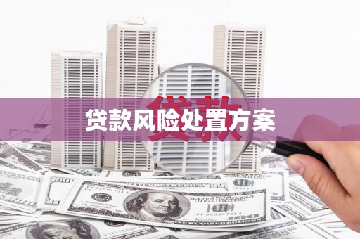 崇左贷款风险处置方案