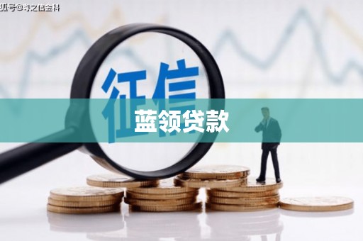 崇左蓝领贷款