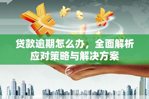 崇左贷款逾期怎么办，全面解析应对策略与解决方案
