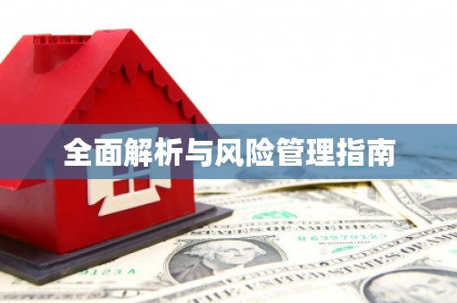 崇左全面解析与风险管理指南