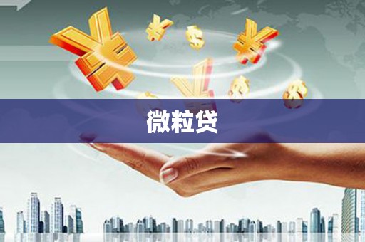 崇左微粒贷