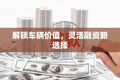 崇左解锁车辆价值，灵活融资新选择