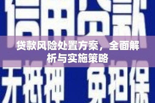 崇左贷款风险处置方案，全面解析与实施策略