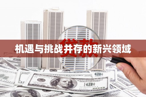 崇左机遇与挑战并存的新兴领域