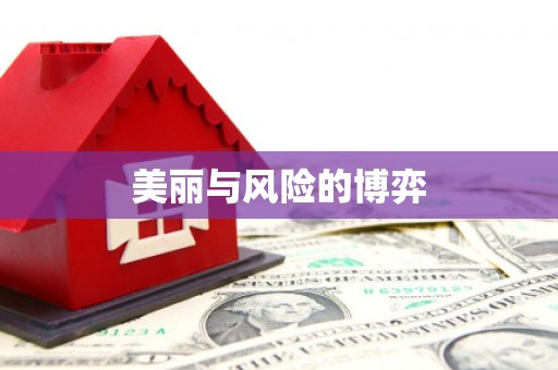 崇左美丽与风险的博弈