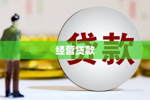 崇左经营贷款