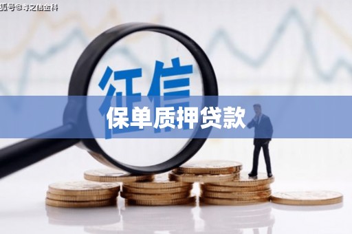 崇左保单质押贷款