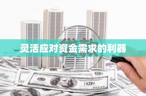 崇左灵活应对资金需求的利器