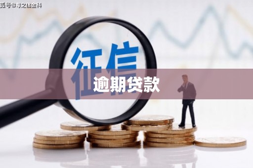 崇左逾期贷款